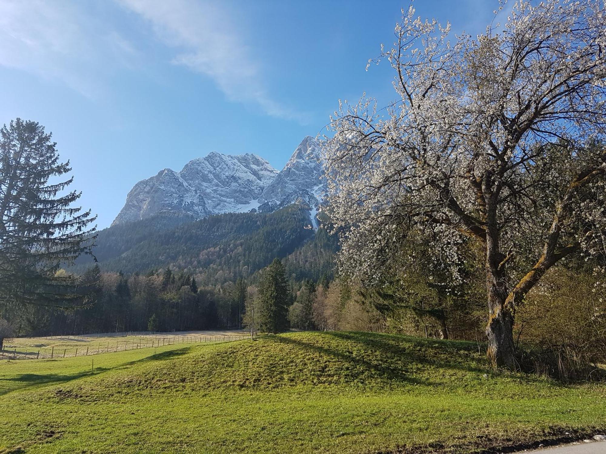 Zum Franziskaner Grainau Bagian luar foto